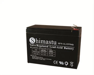 12V 9Ah batteri genopladeligt