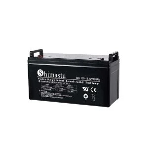 12V120AH GEL BATTERI